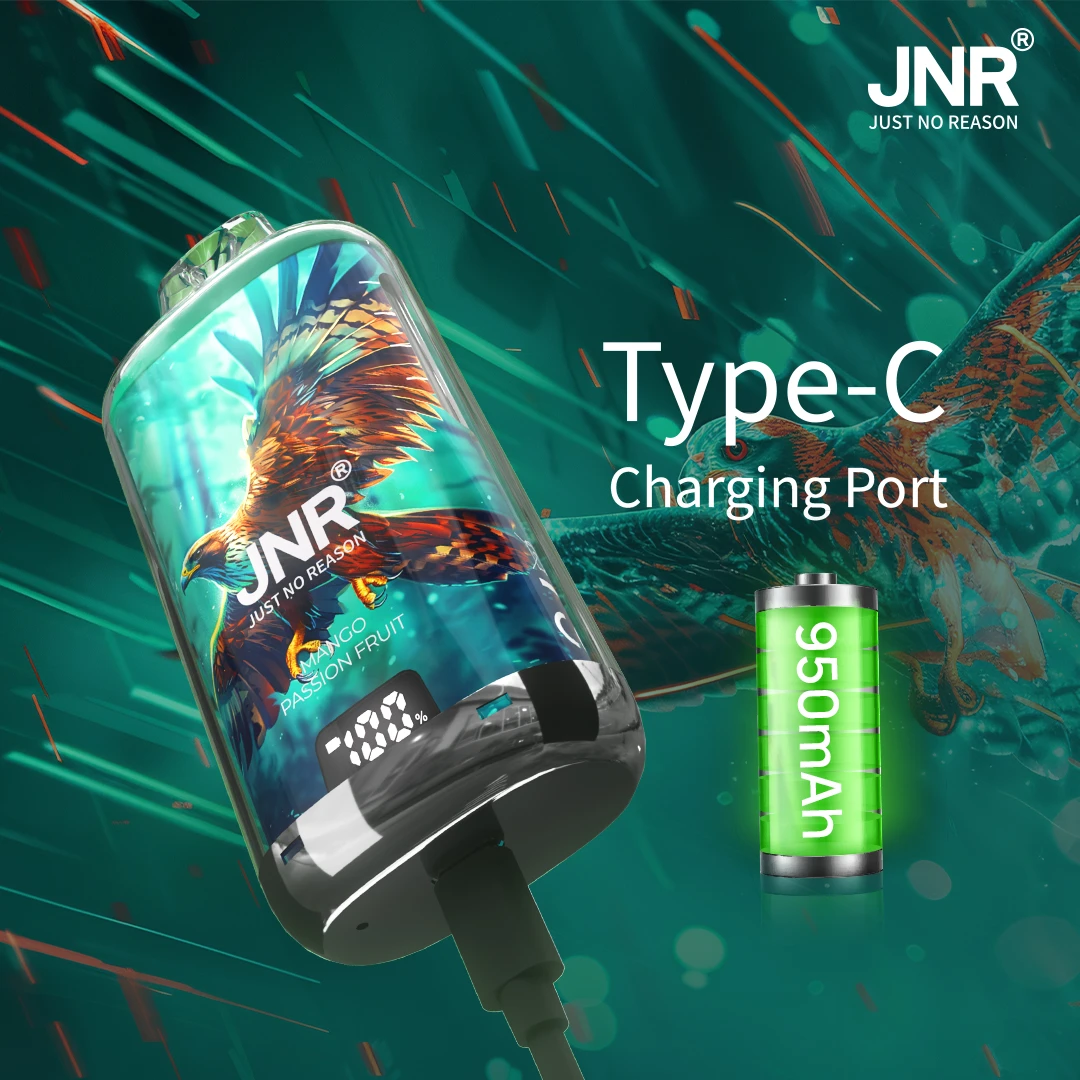 JNR Falcon-X Plus 28K batterie rechargeable USB-C avec Dual Mesh Coil 1.2Ω